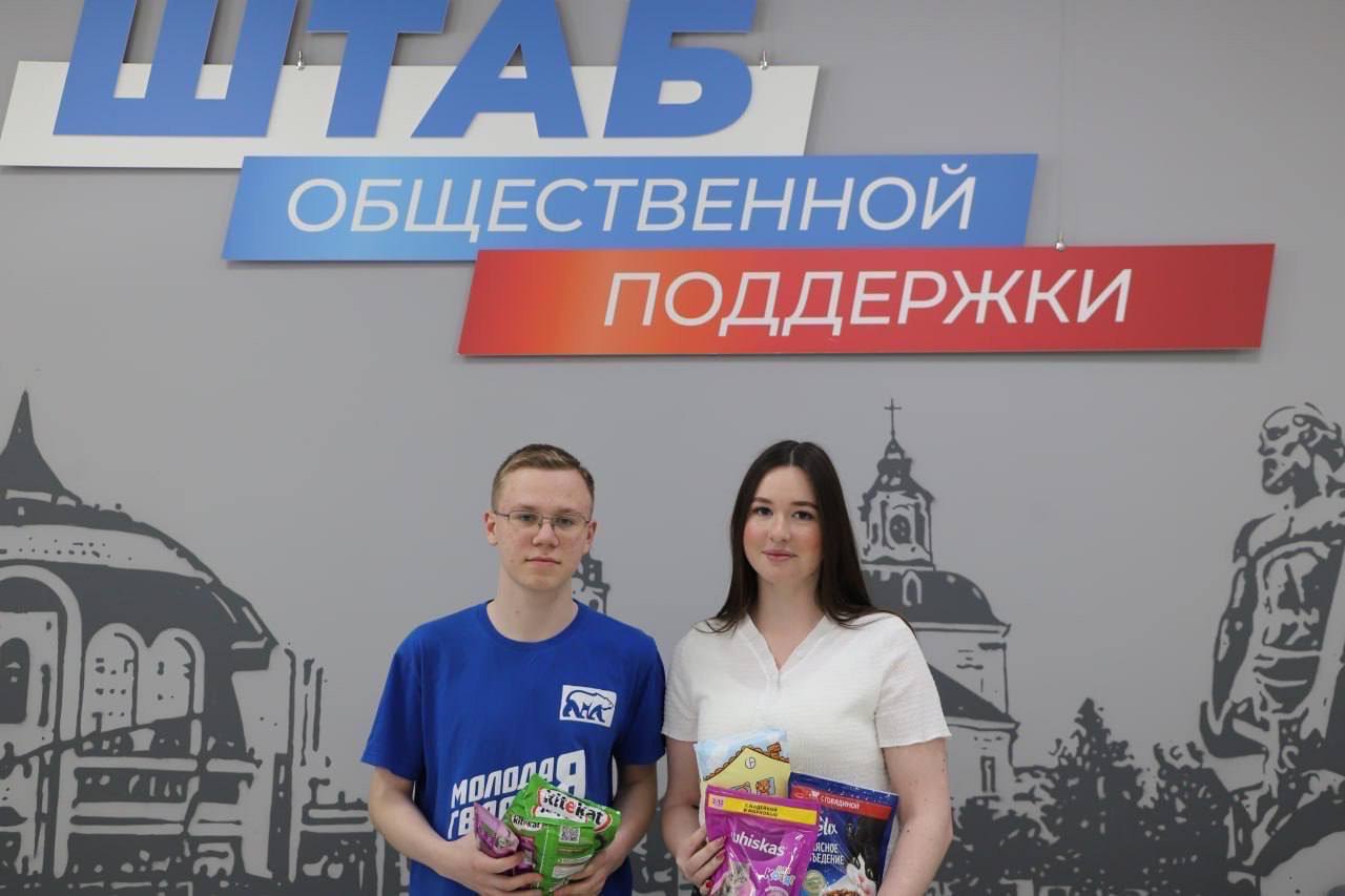 Штаб общественной поддержки Единой России